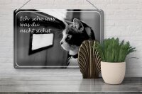 Blechschild Katze 30x20cm ich sehe was du nicht siehst