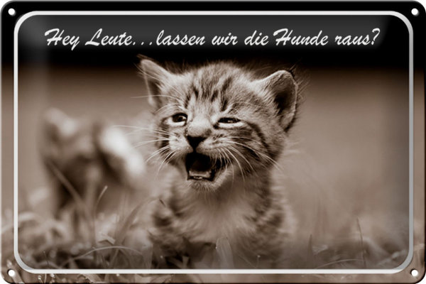 Blechschild Katze 30x20cm Hey lassen wir die Hunde raus