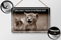 Blechschild Katze 30x20cm Hey lassen wir die Hunde raus