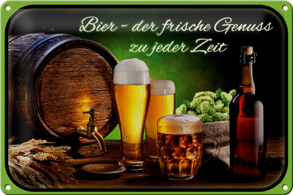 Blechschild Bier 30x20cm frischer Genuss zu jeder Zeit