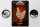 Blechschild Fleisch 20x30cm Fowl exklusive chicken