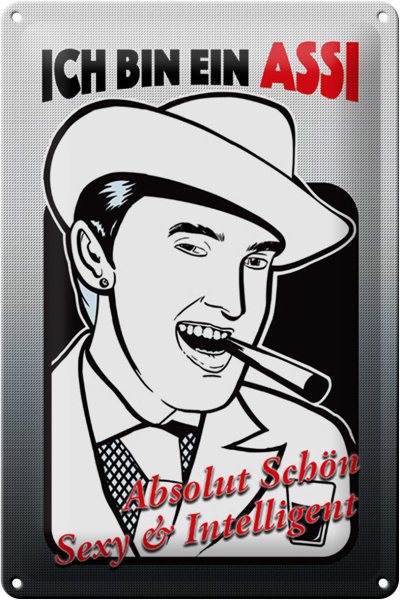 Blechschild Spruch 20x30cm ich bin ASSI schön intelligent