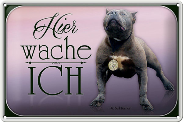 Blechschild Hund 30x20cm Pit Bull Terrier hier wache ich