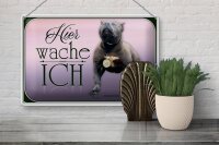 Blechschild Hund 30x20cm Pit Bull Terrier hier wache ich