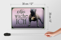 Blechschild Hund 30x20cm Pit Bull Terrier hier wache ich