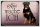 Blechschild Hund 30x20cm Rottweiler hier wache ich