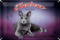 Blechschild Katze 30x20cm Chartreux Deutschland