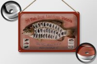Blechschild Fisch 30x20cm 39 Fish from american Waters