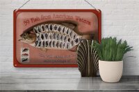 Blechschild Fisch 30x20cm 39 Fish from american Waters