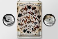 Blechschild Geflügelart 20x30cm the poultry of the world
