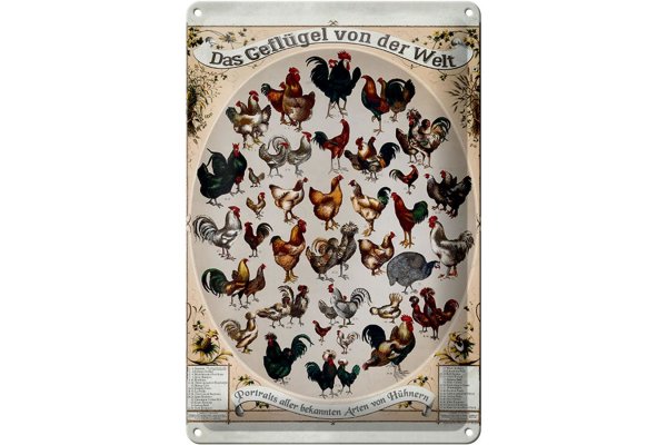 Blechschild Geflügelart 20x30cm das Geflügel von der Welt