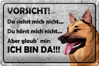 Blechschild Spruch 30x20cm Vorsicht Hund Du siehst mich...