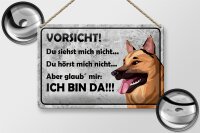 Blechschild Spruch 30x20cm Vorsicht Hund Du siehst mich...