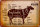 Blechschild Lamm 30x20cm Lamb cuts Organic Metzgerei