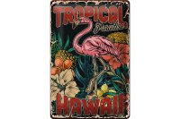 Blechschild Retro 20x30cm Hawaii Tropical Paradise Alkohol