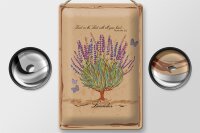 Blechschild Lavendel 20x30cm trust in the lord with all