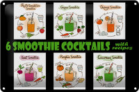 Blechschild Alkohol 30x20cm 6 smoothie cocktails