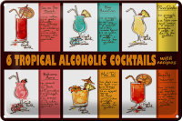 Blechschild Alkohol 30x20cm 6 tropical cocktails recipes