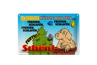 Blechschild Spruch 30x20cm Raupe müsste man sein...