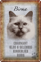 Blechschild Spruch 20x30cm Birma Katze klug Schild