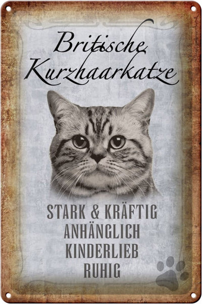 Blechschild Spruch 20x30cm britische kurzhaarkatze Schild