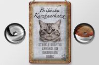 Blechschild Spruch 20x30cm britische kurzhaarkatze Schild