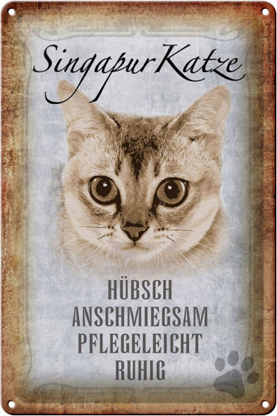Blechschild Spruch 20x30cm Singapur Katze Schild