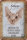 Blechschild Spruch 20x30cm Sphynx Katze Schild deko
