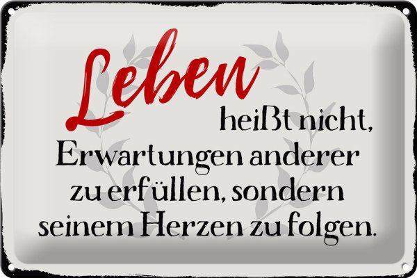 Blechschild Spruch 30x20cm Leben Erwartungen Herz Schild