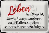 Blechschild Spruch 30x20cm Leben Erwartungen Herz Schild