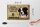 Blechschild Spruch 30x20cm Border Collie Hund ohne kein Heim