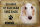 Blechschild Spruch 30x20cm Borsoi Hund ohne kein Heim