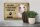 Blechschild Spruch 30x20cm Borsoi Hund ohne kein Heim