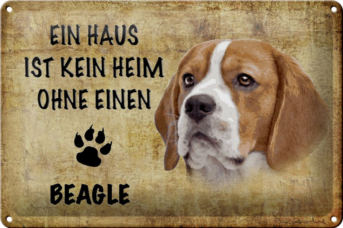 Schatzmix Blechschild 'Kein Heim Ohne Shih Tzu' – Metall, 20x30 Cm, Wanddekoration