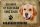 Blechschild Spruch 30x20cm Golden Retriever Hund ohne kein Heim