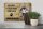 Blechschild Spruch 30x20cm Sibirian Husky Hund ohne kein Heim