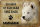 Blechschild Spruch 30x20cm Samojeden Hund ohne kein Heim