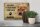 Blechschild Spruch 30x20cm Shar Pei Hund ohne kein Heim