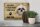 Blechschild Spruch 30x20cm Shih Tzu Hund ohne kein Heim