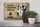 Blechschild Spruch 30x20cm Dogge Hund ohne kein Heim