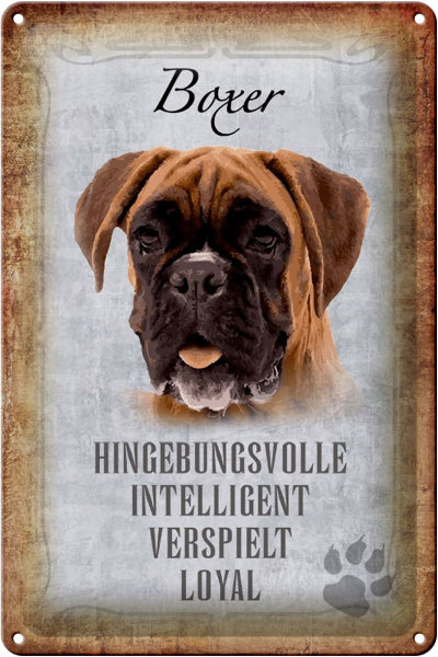 Blechschild Spruch 20x30cm Boxer Hund intelligent Schild