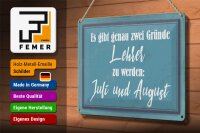 Blechschild Spruch 30x20cm zwei Gründe Lehrer zu werden