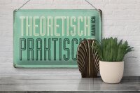 Blechschild Retro 30x20cm theoretisch praktisch kann alles