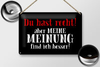 Blechschild Spruch 30x20cm du hast recht aber meine Meinung