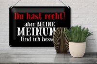 Blechschild Spruch 30x20cm du hast recht aber meine Meinung