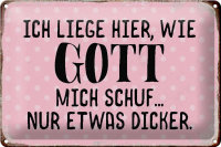 Blechschild Spruch 30x20cm liege hier wie Gott mich schuf