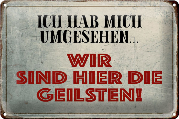 Blechschild Spruch 30x20cm wir sind die Geilsten Schild