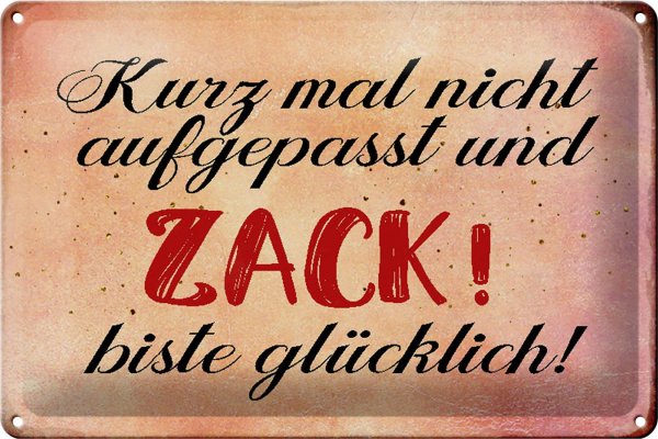 Blechschild Spruch 30x20cm nicht aufgepasst und glücklich