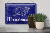 Blechschild Spruch 30x20cm Meeresrauschen Muschel Meer