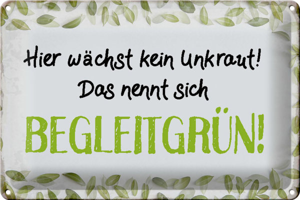 Blechschild Spruch 30x20cm wächst kein Unkraut Begleitgrün